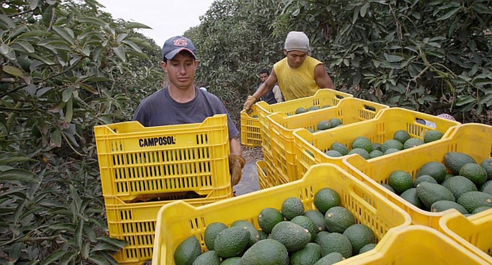 Produce generó expectativas de negocios por más de S/100 millones