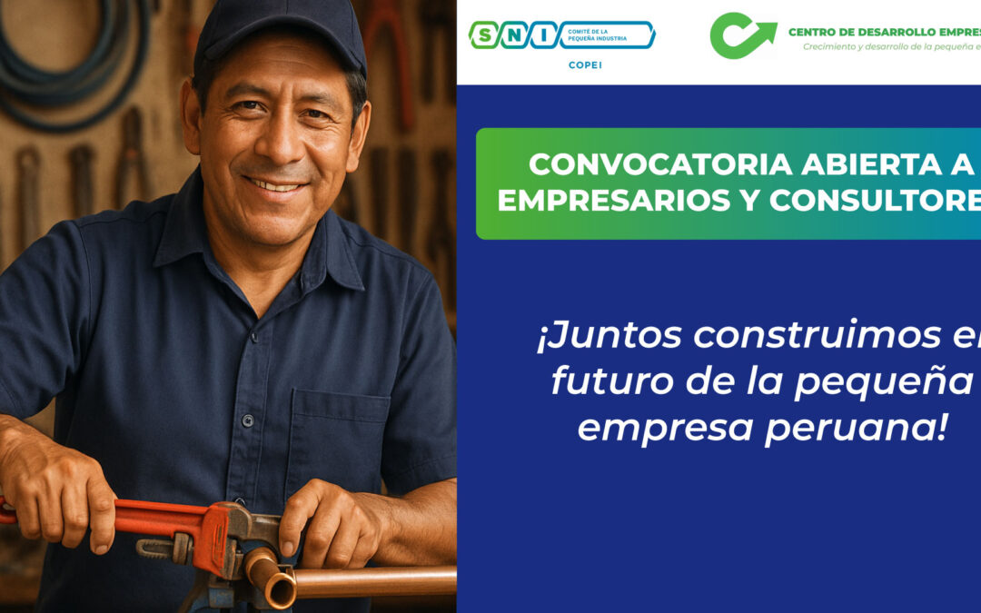 CONVOCATORIA ABIERTA A EMPRESARIOS Y CONSULTORES